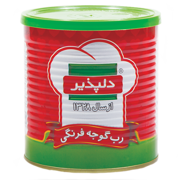 دلپذیر رب گوجه 800 گرمی